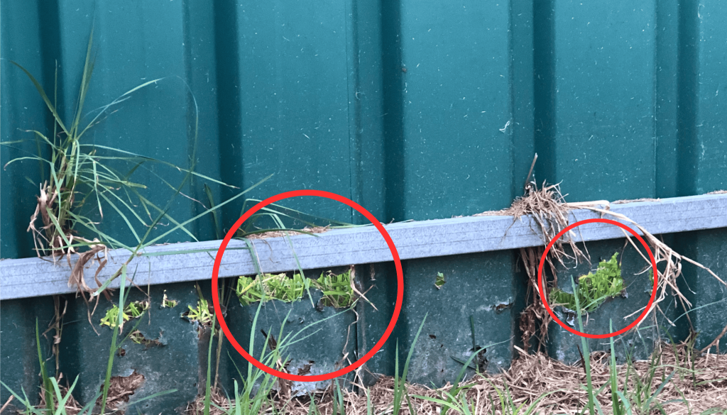 Does colorbond rust?