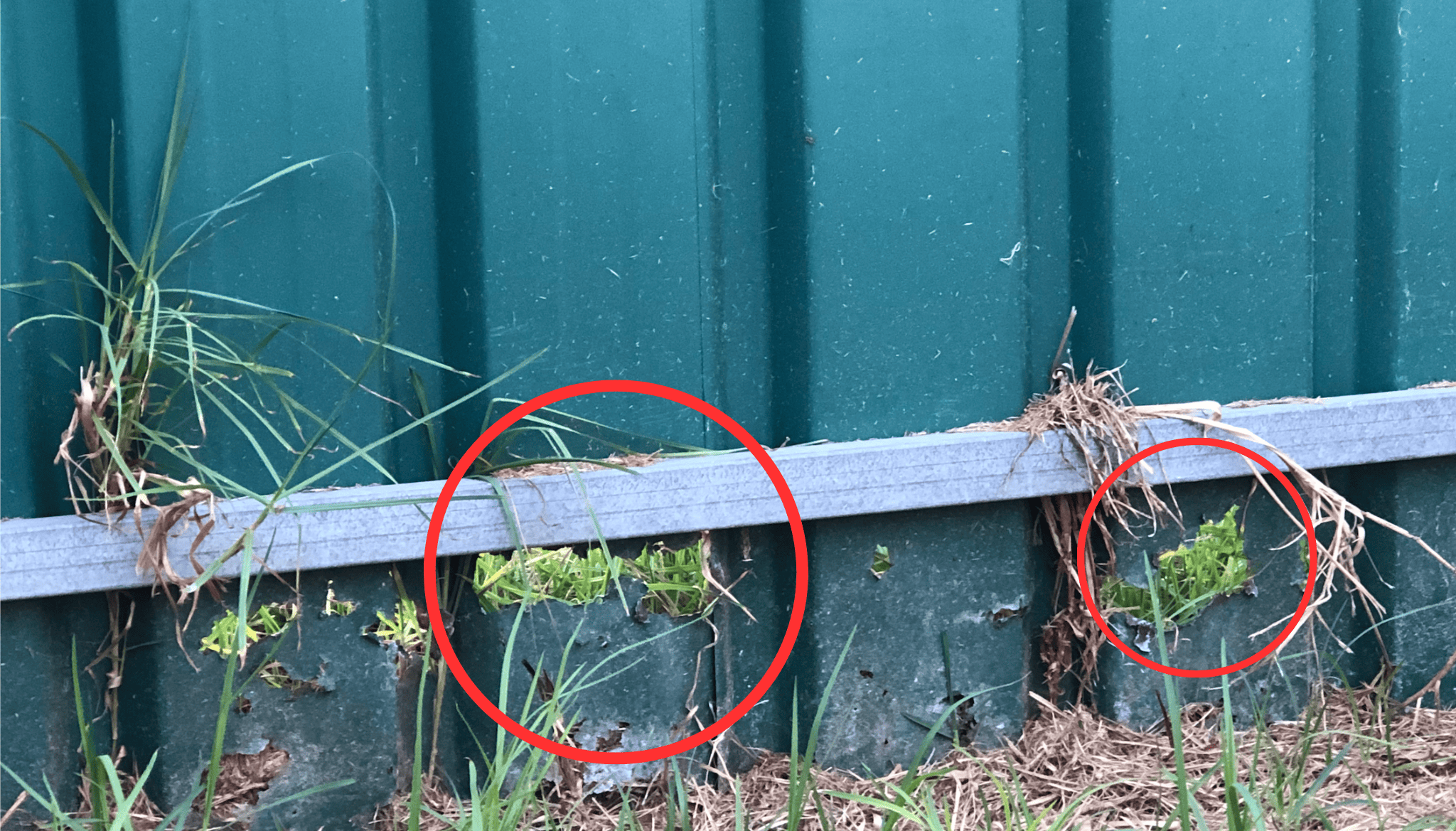 How To Protect Your Colorbond Fence From Rust - Calabria Fencing Adelaide
