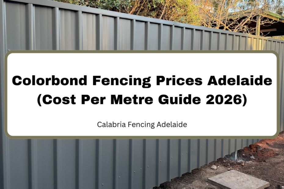 Colorbond Fencing Prices Adelaide (Cost Per Metre Guide 2026)